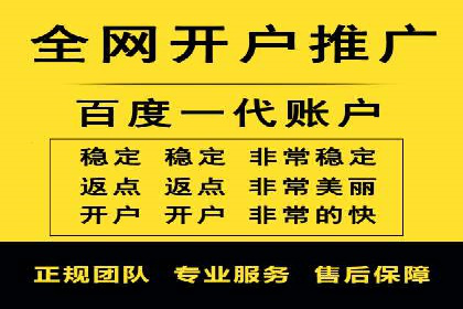 SEM竞价代运营公司案例深度解析